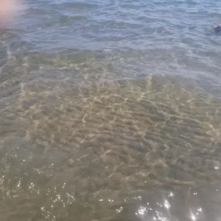 公寓 Charming At The Seaside