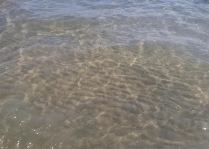 公寓 Charming At The Seaside